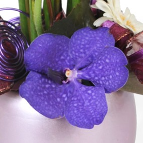 mosaique : zoom sur une orchidée vanda mauve
