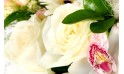 L'Agitateur Floral | zoom sur la rose de la Composition de fleurs blanche Charme