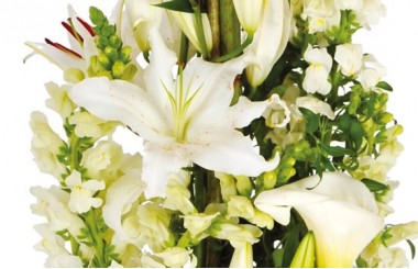 image d'un lys blanc de la composition de fleurs