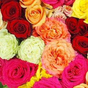 Zoom fleurs Cœur de fleurs piquées de deuil "Hérodote" | L'Agitateur Floral