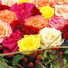 Zoom fleurs du Coussin de deuil de fleurs colorées "Aristote" | L'Agitateur Floral