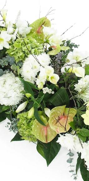 Zoom milieu du Dessus de cercueil blanches & vertes "Ulysse" | L'Agitateur Floral