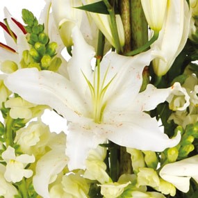 mosaique : vue sur un lys blanc de la composition de fleurs