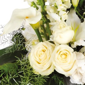 mosaique : vue sur un ensemble floral