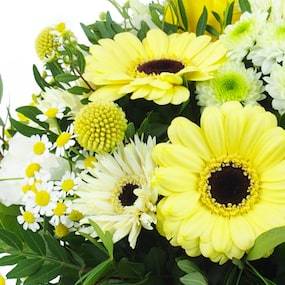Zoom 1 : Bouquet rond jaune & blanc "Prague"| L'Agitateur Floral