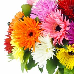 Zoom 1 : Bouquet rond multicolore " Stockholm"| L'Agitateur Floral