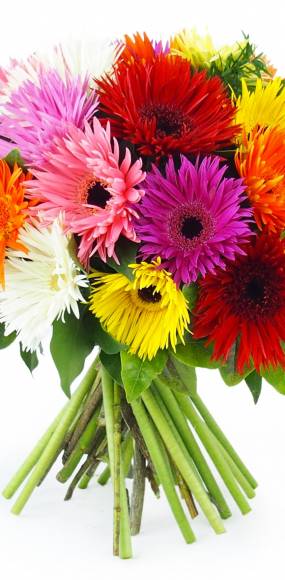 Zoom milieu : Bouquet rond multicolore " Stockholm"| L'Agitateur Floral