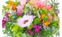 Zoom image principale : Bouquet coloré champêtre "Genève"| L'Agitateur Floral