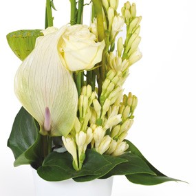 mosaïque : vue sur le bas de la création