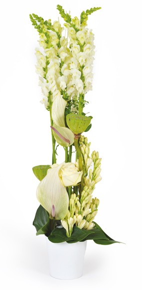 mosaïque : vue sur l'ensemble de la composition de fleurs