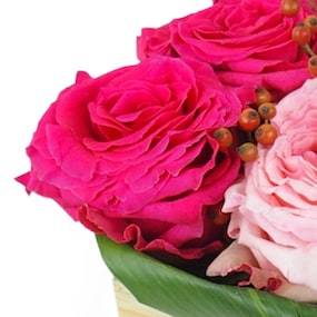 Image zoom Composition de roses "Saint Louis" | L'Agitateur Floral