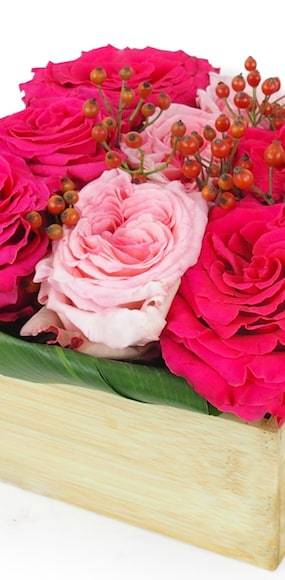 Image zoom 2 Composition de roses "Saint Louis" | L'Agitateur Floral