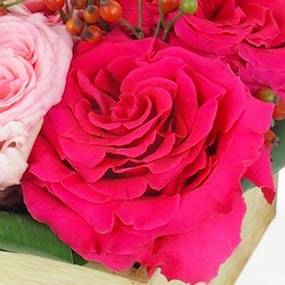 Image zoom 3 Composition de roses "Saint Louis" | L'Agitateur Floral