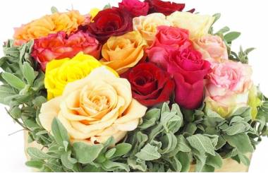 Zoom image : Composition carrée rose colorée "Los Angeles"