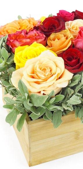 Zoom 2 : Image Composition carrée rose colorée "Los Angeles"| L'Agitateur Floral