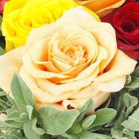 Zoom 1 : Image Composition carrée rose colorée "Los Angeles"| L'Agitateur Floral