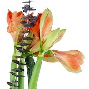 Zoom 1 : image Assemblage de fleurs en hauteur "Atlanta"| L'Agitateur Floral