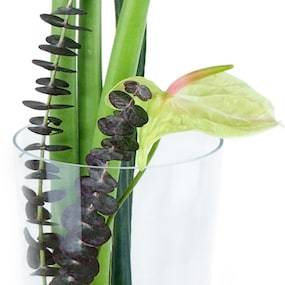 Zoom 2 :  image Assemblage de fleurs en hauteur "Atlanta"| L'Agitateur Floral