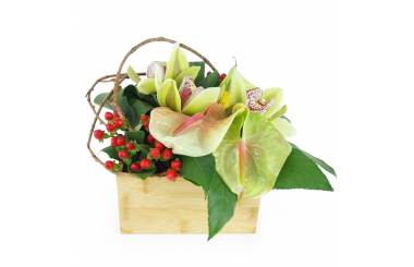 Image : Composition florale carrée verte "Aurora"| L'Agitateur Floral