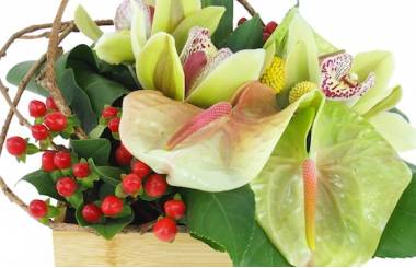 Zoom image : Composition florale carrée verte "Aurora"| L'Agitateur Floral