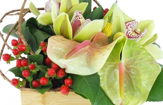 Zoom image : Composition florale carrée verte "Aurora"| L'Agitateur Floral