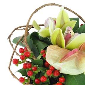 Zoom 1 image : Composition florale carrée verte "Aurora"| L'Agitateur Floral