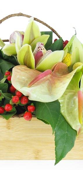 Zoom milieu image : Composition florale carrée verte "Aurora"| L'Agitateur Floral