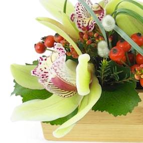 Zoom 1 : image Composition allongée verte "Santa Ana"| L'Agitateur Floral