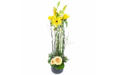 Image Composition roses colorées "Madison"| L'Agitateur Floral