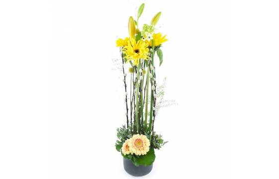 Image Composition roses colorées "Madison"| L'Agitateur Floral