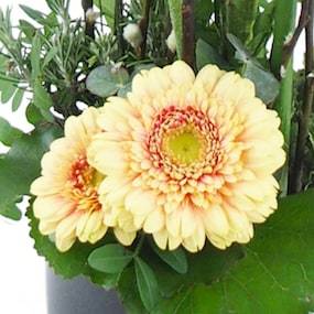 Zoom 2 image Composition roses colorées "Madison"| L'Agitateur Floral