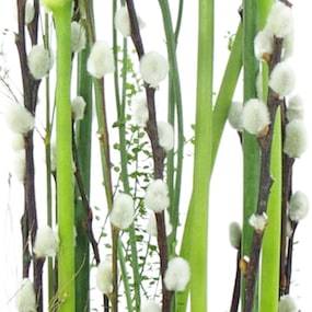 Zoom 4 image Composition blanche en hauteur "Lima"| L'Agitateur Floral