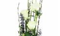 Zoom image Composition blanche & verte "Philadelphie"| L'Agitateur Floral