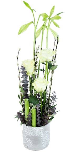 Zoom 3 image Composition blanche & verte "Philadelphie"| L'Agitateur Floral