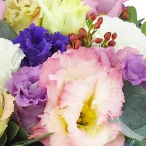 Zoom 4 image Composition de fleur carrée pastel "Quito"| L'Agitateur Floral