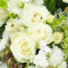 Zoom image 4 Croix de fleurs piquées "Procris" | L'Agitateur Floral