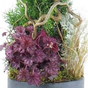 Zoom 4 de la Composition de deuil de plantes en hauteur "Abies" | L'Agitateur Floral