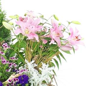 Zoom 4 de la Grande coupe de plantes roses, mauves et bleues "Rosea Lilium" | L'Agitateur Floral