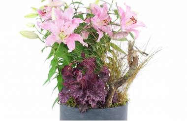 Zoom image de la Assemblage en hauteur de plantes roses "Hortus Lilium" |  L'Agitateur Floral