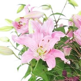 Zoom 1 de la Assemblage en hauteur de plantes roses "Hortus Lilium" |  L'Agitateur Floral