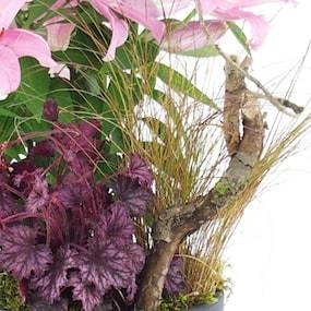 Zoom 4 de la Assemblage en hauteur de plantes roses "Hortus Lilium" |  L'Agitateur Floral