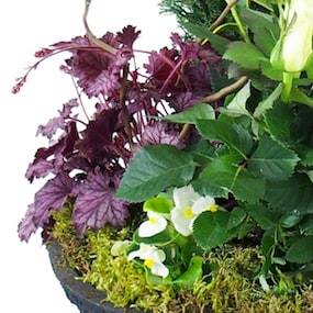 Zoom 1 de la Coupe de deuil de plantes blanches "Nubes" | L'Agitateur Floral