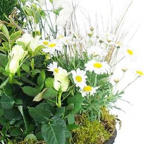 Zoom 4 de la Coupe de deuil de plantes blanches "Nubes" | L'Agitateur Floral