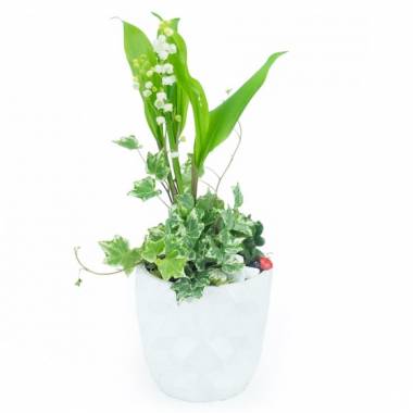 Image principale : Composition 1er Mai "Jardin de Clochettes"| L'Agitateur Floral