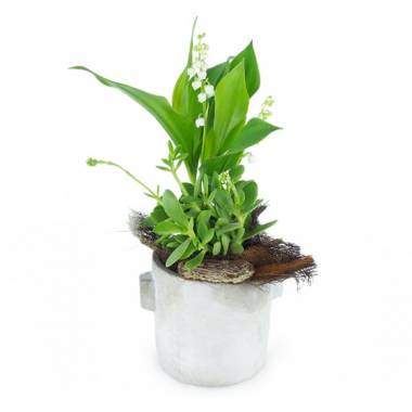 Image principale : Composition 1er Mai "Potée de Bonheur"| L'Agitateur Floral