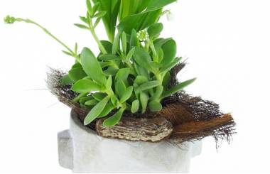 Zoom image principale : Composition 1er Mai "Potée de Bonheur"| L'Agitateur Floral