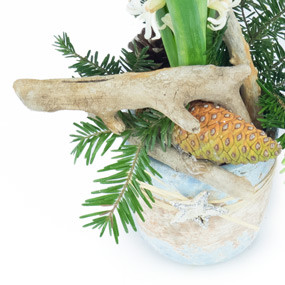 mosaïque : vue sur la décoration de la Jacinthe blanche en pot