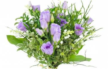 L'Agitateur Floral | Zoom image principale sur le bouquet 1er Mai "Brin de Sidonie"