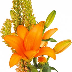 mosaïque : image d'un lys orange de la composition