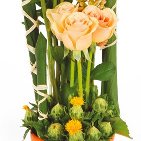 mosaïque : vue sur les roses pâles